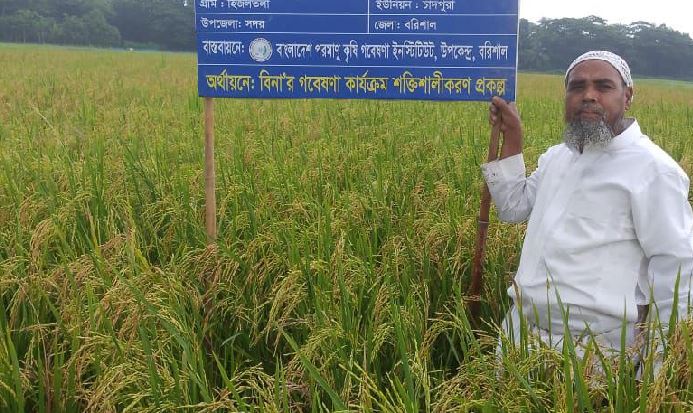 Aman, Aush paddy cultivation exceed targets in Barishal
