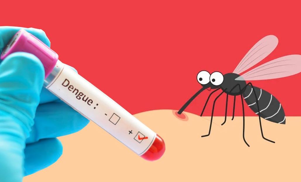 55 dengue patients hospitalised in last 24 hrs in Ctg