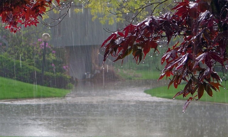 Rain predicted in parts of country