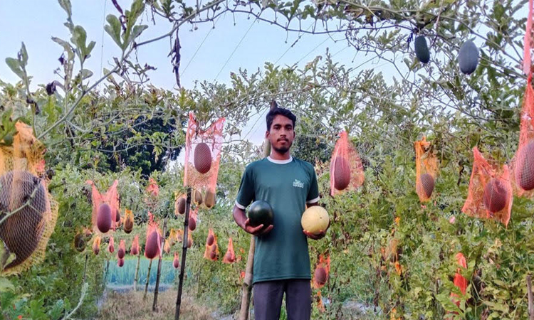 Young entrepreneur finds success in watermelon farming in Dinajpur