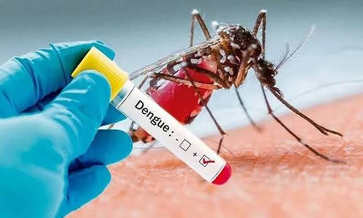 53 dengue patients reported in Chattogram in last 24 hrs