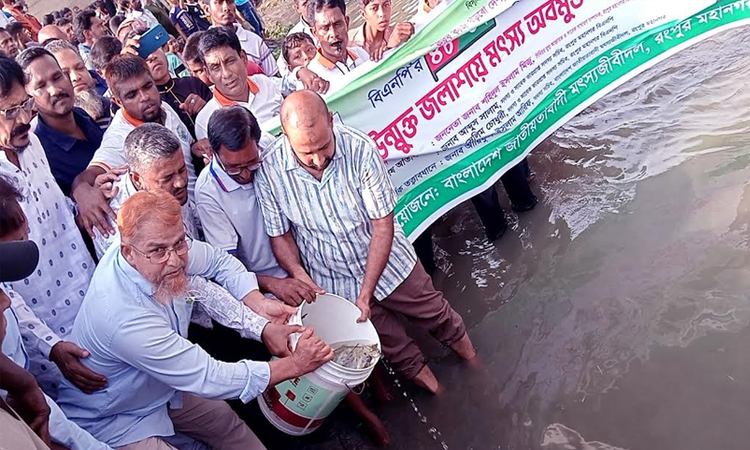 Fish fries released in Rangpur marking BNP founding anniversary