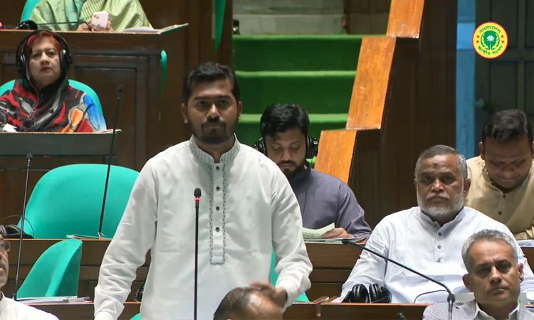 Govt working to resolve expatriates' problems: Nurul Haque tell JS