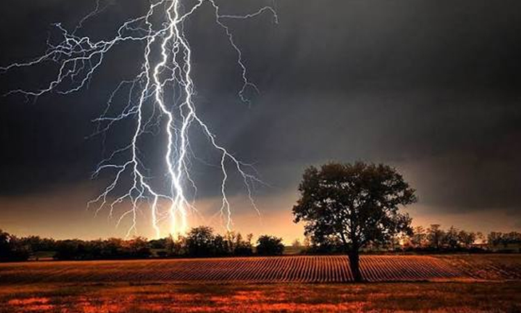 Farmer killed, two injured in Kushtia lightning strike