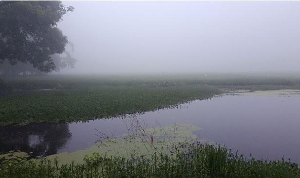 Dense fog blankets Panchagarh at onset of autumn