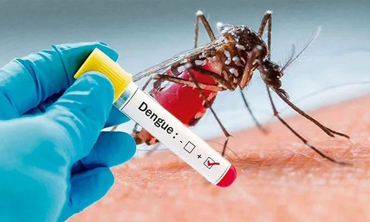 71 dengue patients hospitalised in Ctg