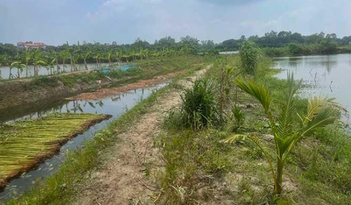 Re-excavation of Jhikra canal eases waterlogging, boosts irrigation
