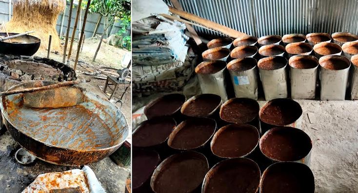 Molasses factory fined Tk 1.50 lakh in Rangpur