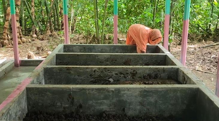 Brahmanbaria farmer finds success through commercial earthworm farming
