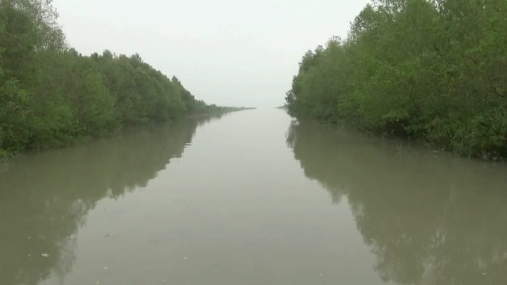 ভোলার সাগরমোহনার অপরূপ সবুজদ্বীপ কুকরি-মুকরি