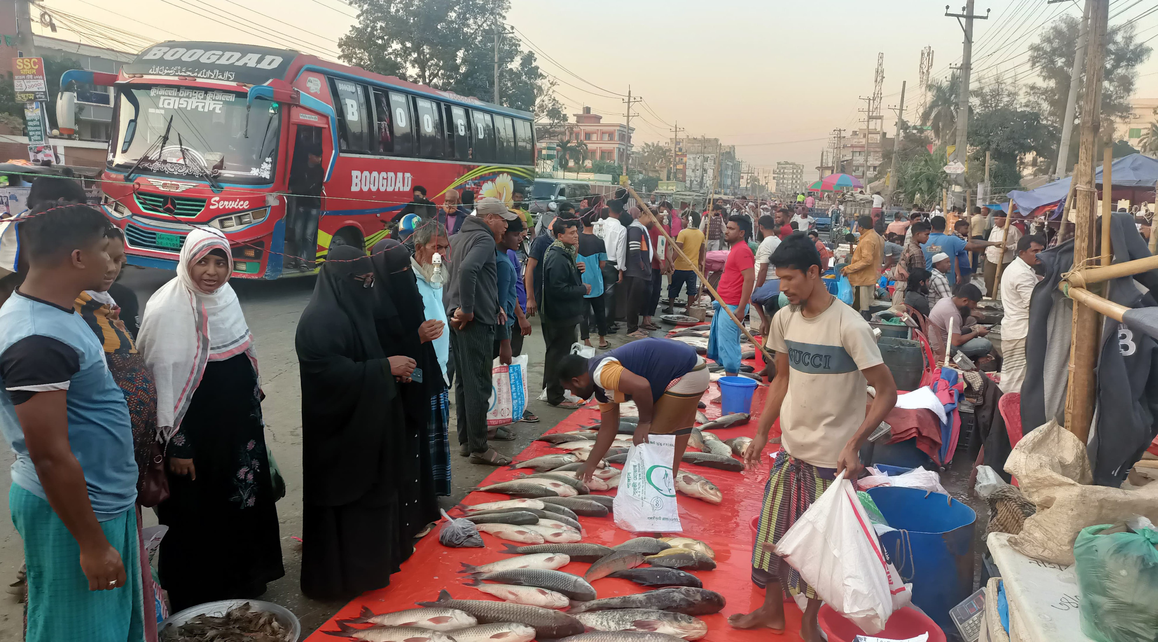 কুমিল্লার পাদুয়ার প্রতি হাটে মাছ বিক্রি হয় ৬ কোটি টাকা