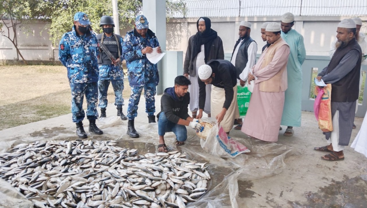 হাইমচরের চরভৈরবী থেকে ৫০০ কেজি জাটকা জব্দ