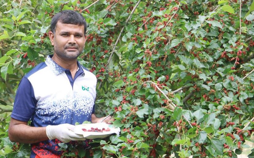  কৃষি উদ্যোক্তা হিসেবে সফল উচ্চ শিক্ষিত সোহেল রানা