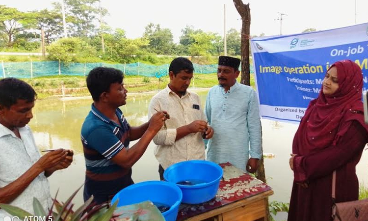 সুনামগঞ্জের প্রথম মুক্তাচাষী নাজিম উদ্দিন জেলার তরুণ উদ্যোক্তাদের মডেল হয়ে উঠেছেন