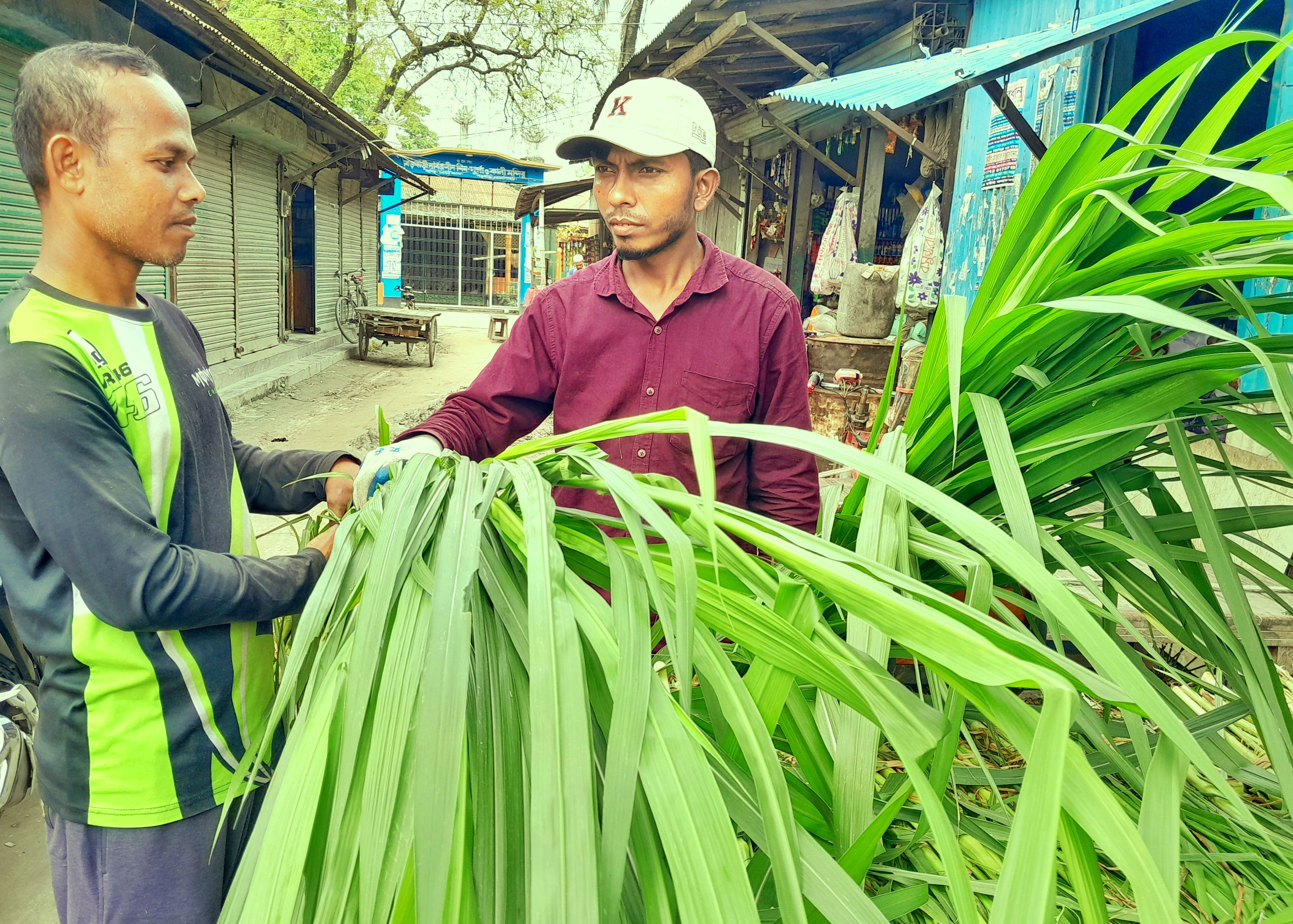 লালমনিরহাটে ঘাস বিক্রি করে স্বাবলম্বী কাজল