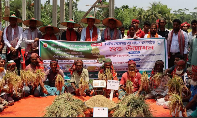 ঝালকাঠিতে কম্বাইন্ড হার্ভেস্টার মেশিনে ধান কাটার উদ্বোধন