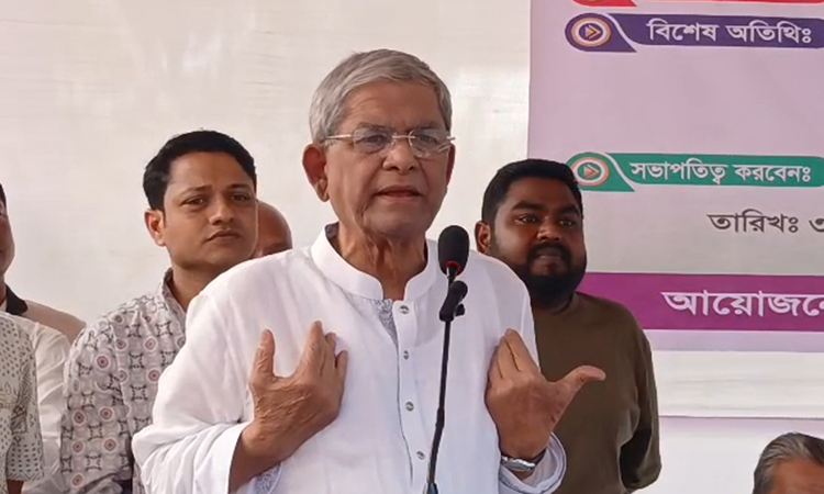 দেশে জন্মগ্রহণকারী প্রত্যেকে এদেশের নাগরিক : মির্জা ফখরুল