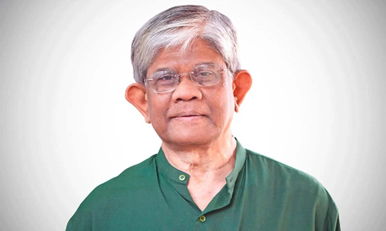 সরকার প্রকৃত উন্নয়ন চায়: ড. সালেহউদ্দিন
