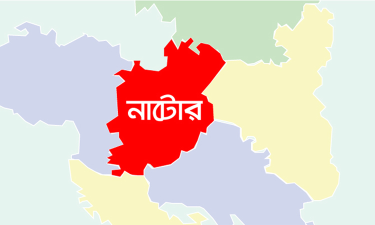 নাটোরে গাছ থেকে পড়ে শিশুর মৃত্যু