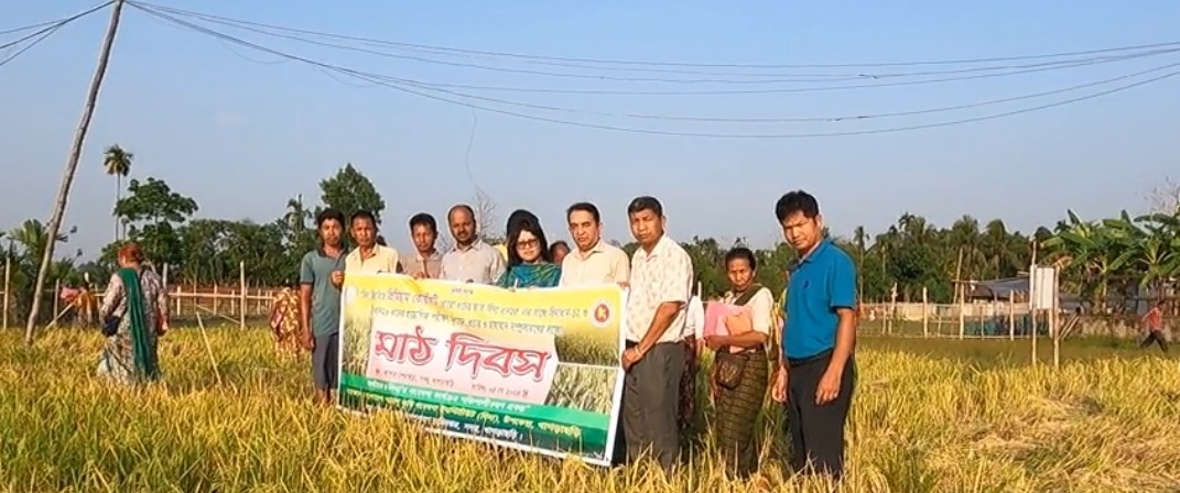 খাগড়াছড়িতে বিনা ধান-২৫ এর মাঠ দিবস 