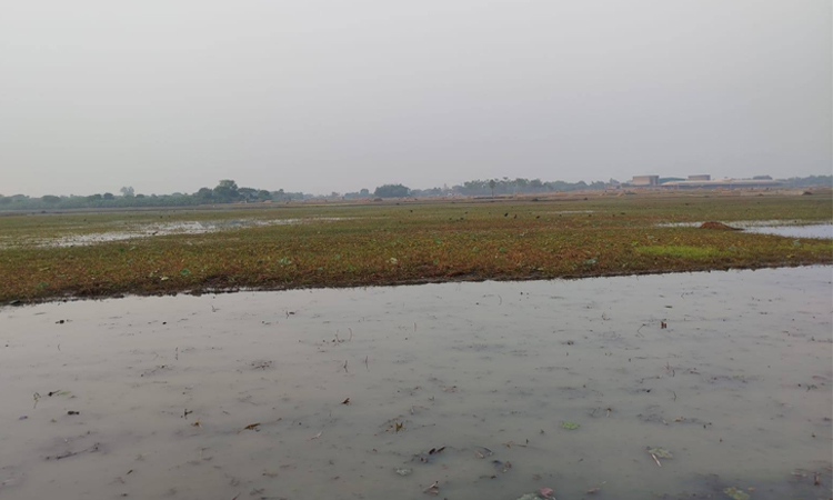 প্রথমবারের মতো ‘জলাভূমি নির্ভর প্রাণী অভয়ারণ্য’ ঘোষণা করলো সরকার