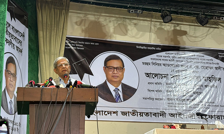 আমরা অন্তর্বর্তীকালীন সরকারের সাফল্য চাই: মির্জা ফখরুল