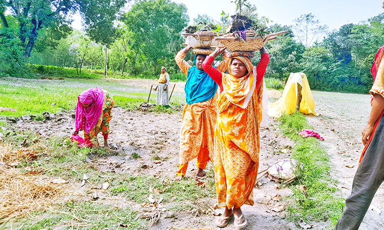 হাড়ভাঙা পরিশ্রম করেও ন্যায্য মজুরি বঞ্চিত লালমনিরহাটের নারী শ্রমিকরা