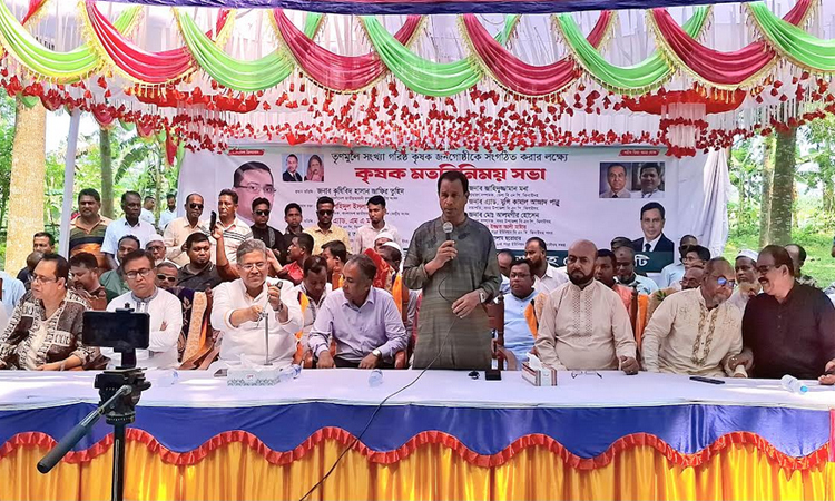 ঝিনাইদহে বজ্রপাতে প্রাণ হারানো দুই কৃষক পরিবার পেল তারেক রহমানের সহায়তা