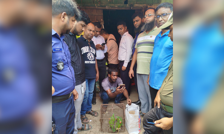 ফেসবুকে বিজ্ঞাপন দিয়ে পাখি বিক্রির চেষ্টাকালে বিক্রেতাকে ২৫ হাজার টাকা অর্থদণ্ড