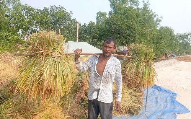 নীলফামারীতে মাঝারি তাপদাহে অতিষ্ঠ জনজীবন