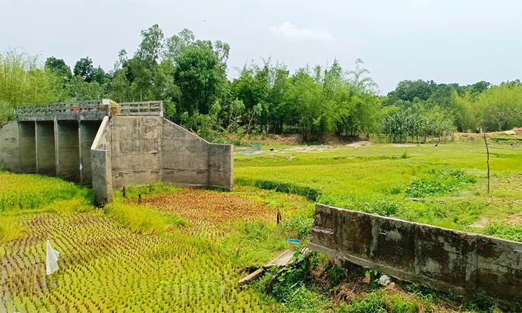খানসামায় অব্যবহৃত সেতু ভেঙে সড়ক সংযোগ স্থাপনের কাজ শুরু