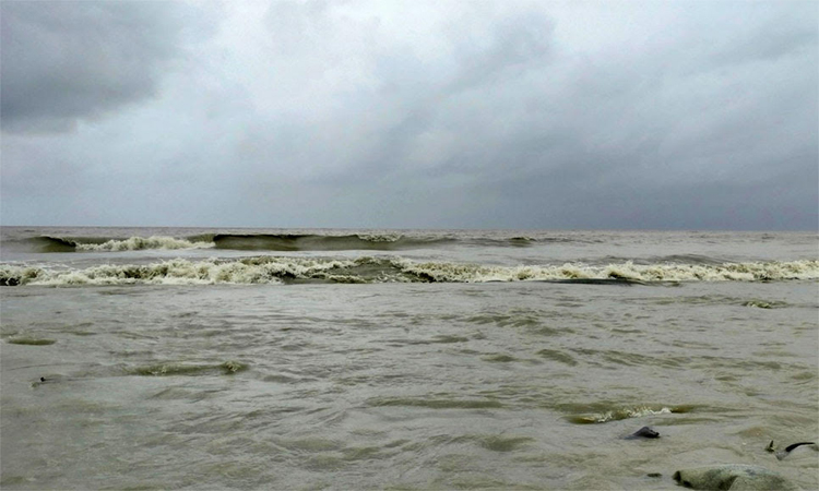 ভোলায় ঝড়োবৃষ্টি  ও বজ্রপাতে ফসলের ক্ষতি