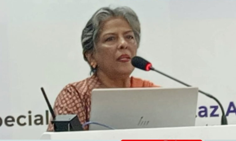 নারীর প্রতি সহিংসতা রুখতে সরকার একটি সোশ্যাল ফোর্স গঠন করছে : শারমীন এস মুরশিদ