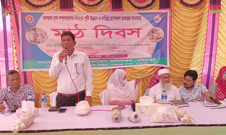 শেরপুরে মাশরুম চাষ সম্প্রসারণ বিষয়ক মাঠ দিবস