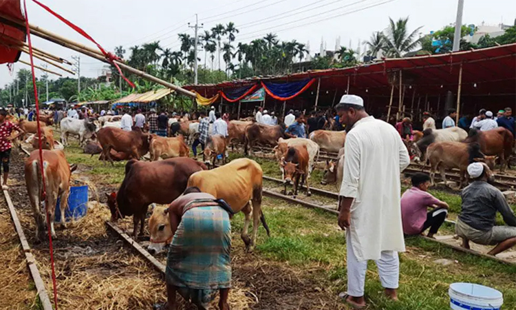 রেললাইন সংলগ্ন এলাকায় হাট বসানো যাবে না