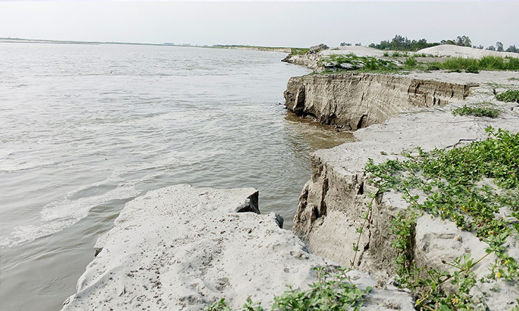 টাঙ্গাইলের ভূঞাপুরে শুরু হয়েছে তীব্র নদী ভাঙন