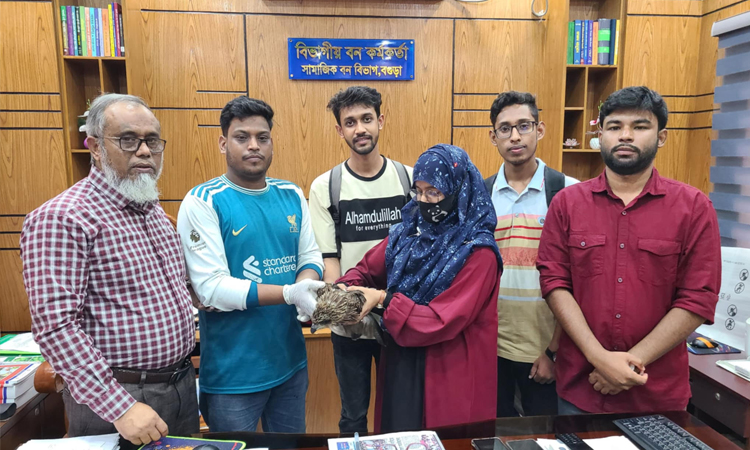 বগুড়ায় অসুস্থ ভুবন চিল উদ্ধার