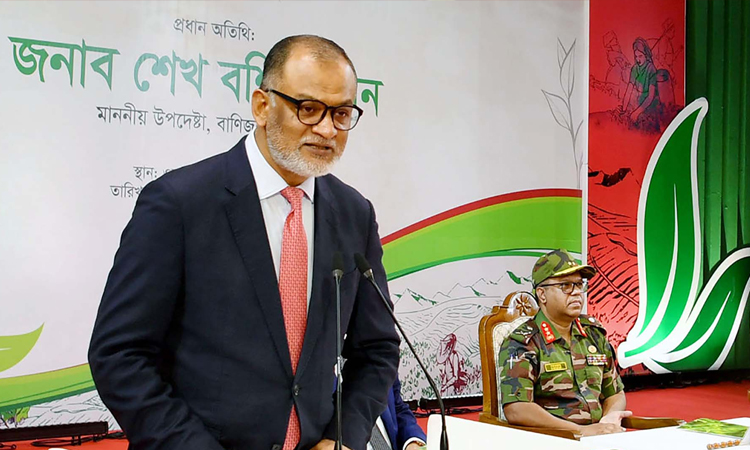 অভ্যন্তরীণ চাহিদা পূরণ করে চা রপ্তানি বাড়াতে কাজ করছে সরকার : বাণিজ্য উপদেষ্টা