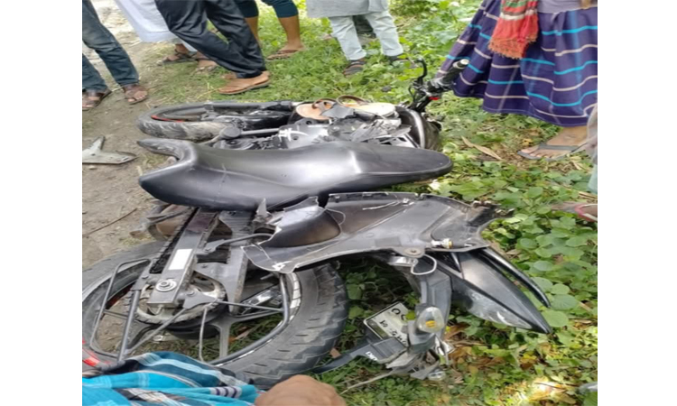 ঝিনাইদহে ট্রাক চাপায় স্কুলছাত্র নিহত