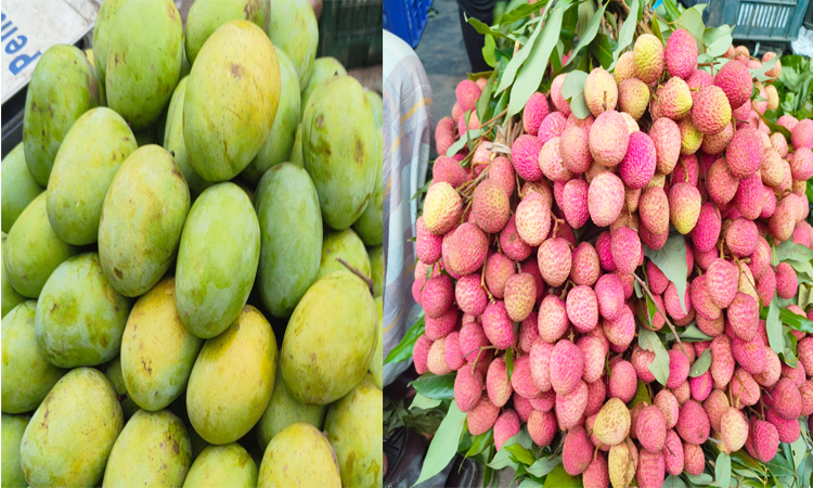 আম লিচুর দাপটে সরগরম বাদামতলি ও ওয়াইজঘাটের আড়ত
