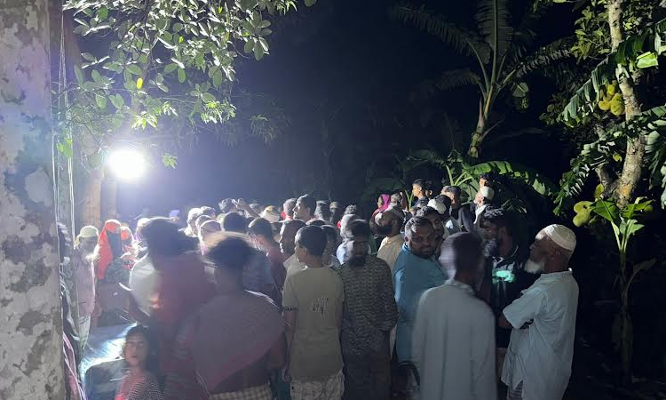 কিশোরগঞ্জে গর্তের পানিতে ডুবে দুই ভাইয়ের মৃত্যু