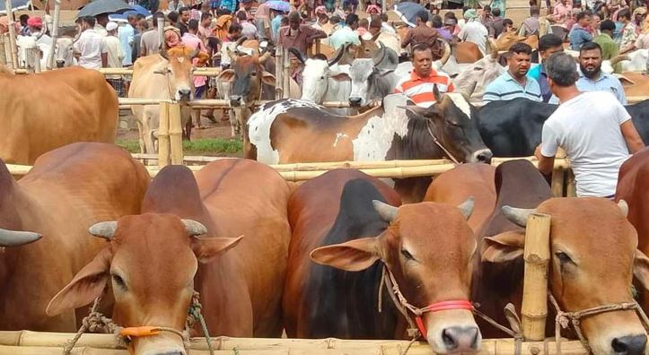 ঈদযাত্রা ও পশুর হাট সম্পর্কে ট্রাফিক ব্যবস্থাপনার বিষয়ে গণবিজ্ঞপ্তি জারি