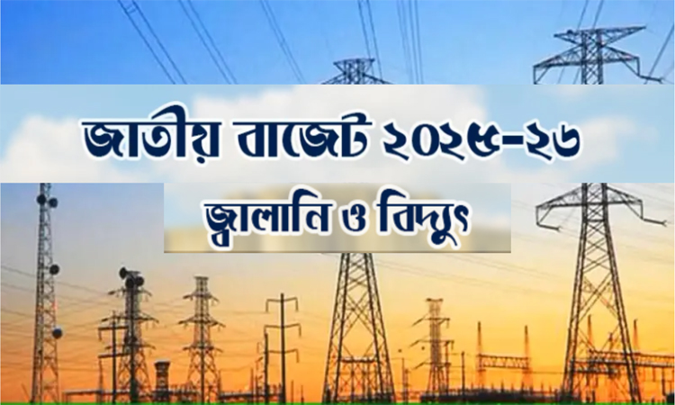 জ্বালানি ও বিদ্যুৎখাতে ২২ হাজার ৫২০ কোটি টাকা বরাদ্দের প্রস্তাব