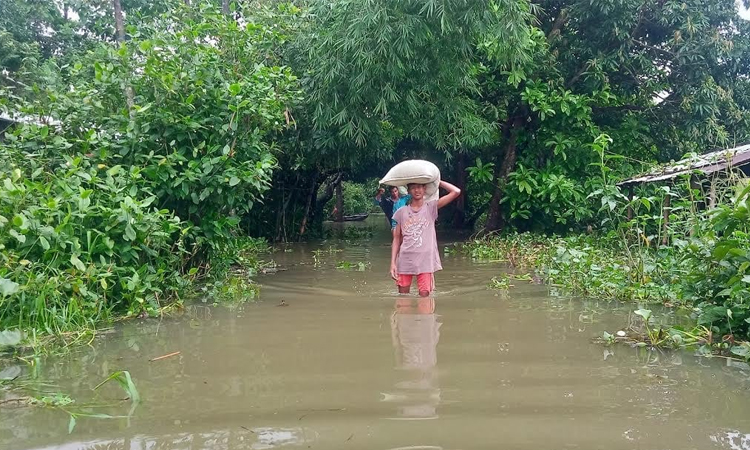 আগামী ২৪ ঘণ্টায় চিলমারী ও ফুলছড়িসহ ৪ স্টেশনে পানি সতর্কসীমায় প্রবাহিত হতে পারে