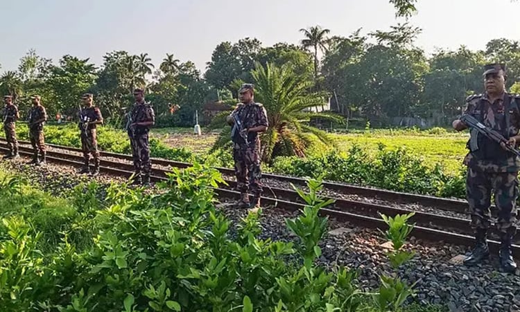 দিনাজপুর সীমান্তে চামড়া পাচার রোধে বিজিবি'র টহল জোরদার