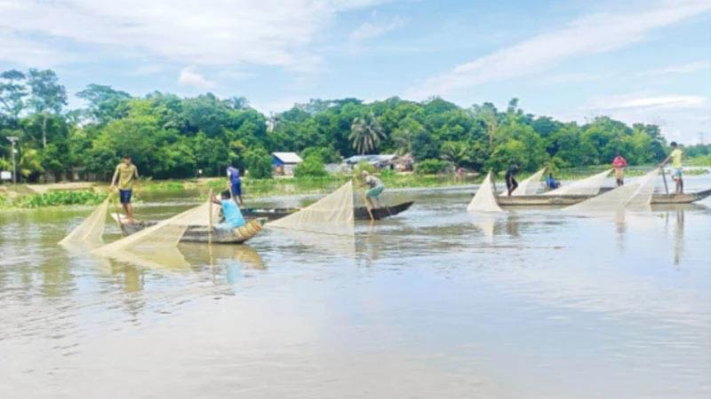 কোরবানির পশুর চামড়া ফেলে হালদা নদী দূষণের অভিযোগে মামলা