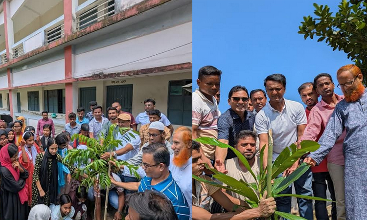 বিএনপি ও অঙ্গ সংগঠনের উদ্যোগে সারাদেশের বিভিন্ন স্থানে বৃক্ষরোপন কর্মসূচী চলছে