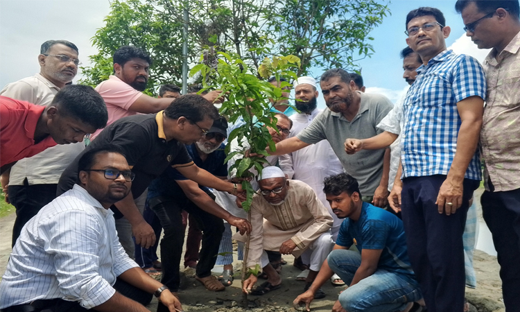 প্রাকৃতিক বিপর্যয় রোধে বাগেরহাট বিএনপি’র বৃক্ষ রোপণ কর্মসূচি 