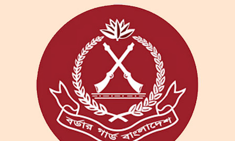 বিজিবি’র অভিযানে ১৩৩ কোটি টাকার চোরাচালানকৃত সামগ্রী জব্দ