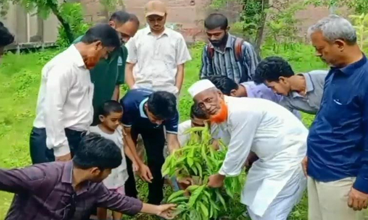 ছাত্রদলের উদ্যোগে সারাদেশে বৃক্ষরোপণ কর্মসূচি অব্যাহত